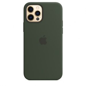 iPhone 12 | 12 Pro Silicone Case Cyprus Green with MagSafe Replica (Animation)